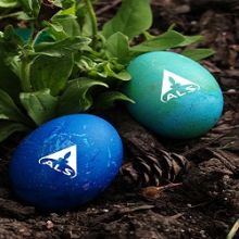 ALS Laboratories (UK) Ltd Waters – Easter 2025 Opening Hours